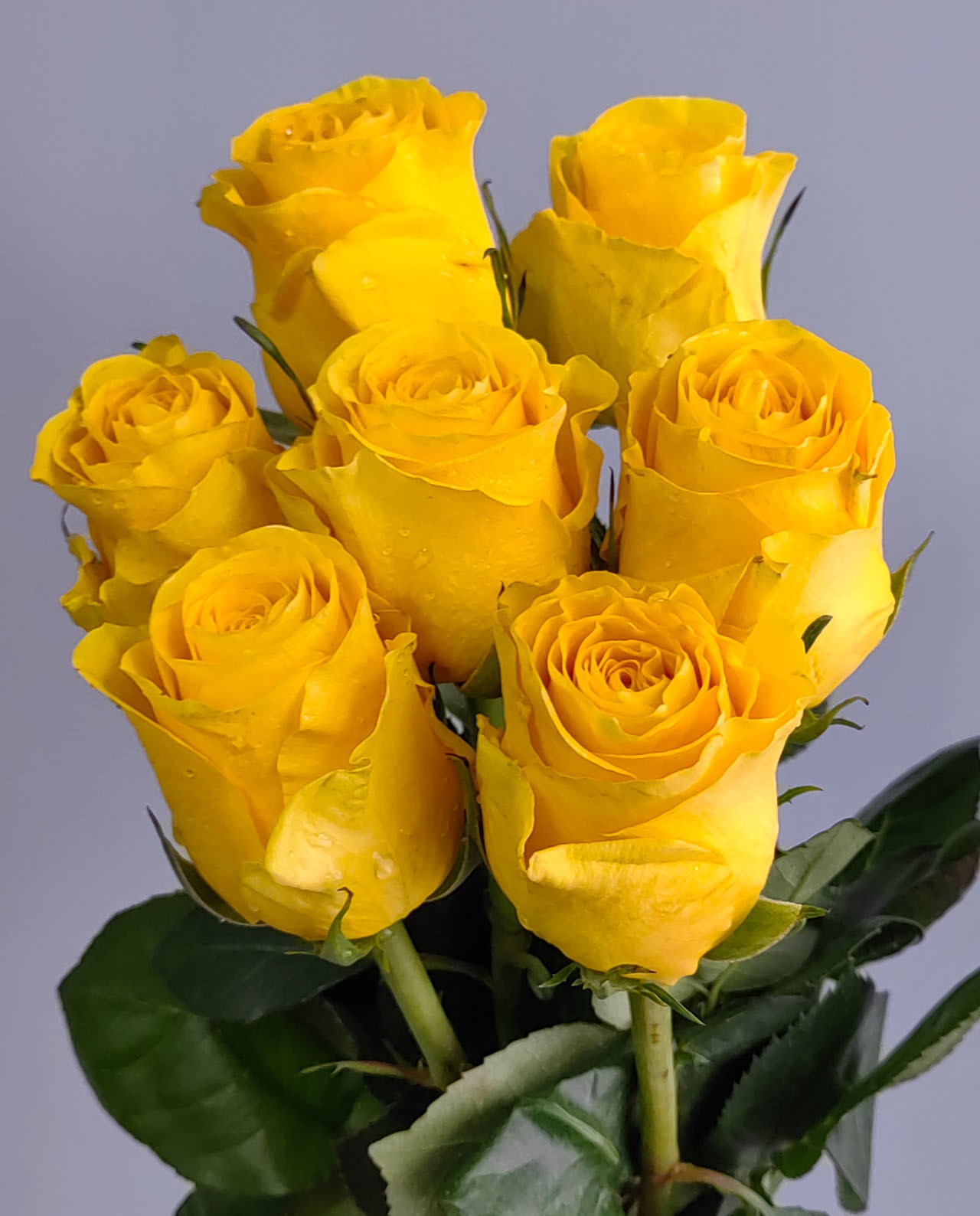 Букет из 5 желтых роз с лентой